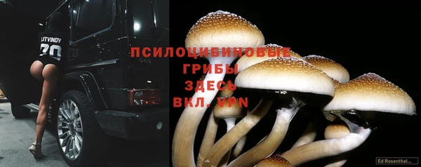 шишки Балахна