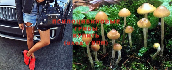 шишки Балахна