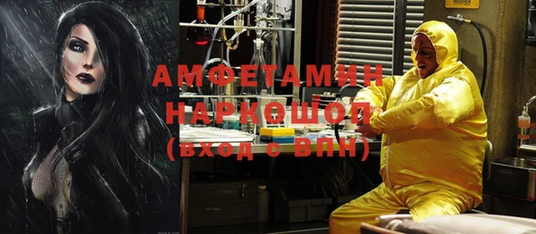 шишки Балахна